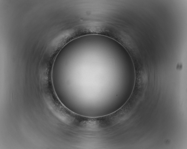 X0000111510639200907141337