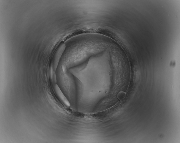 X0000111510641200907141337