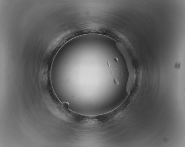 X0000111510642200907141337