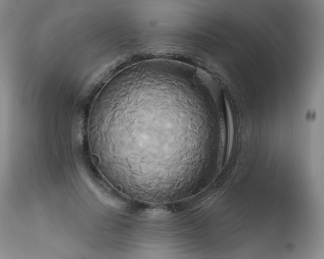X0000111510644200907141337