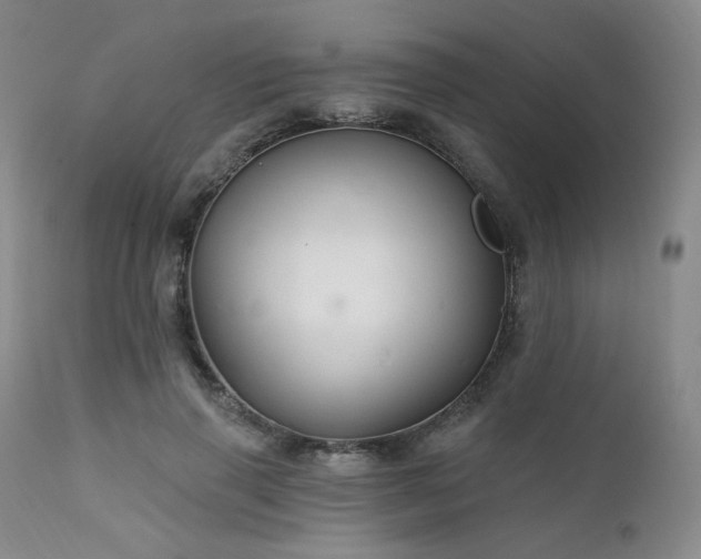 X0000111510645200907141337