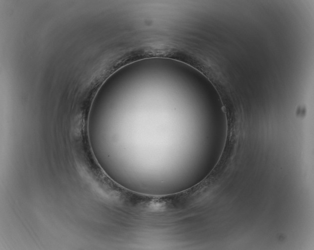 X0000111510647200907141337