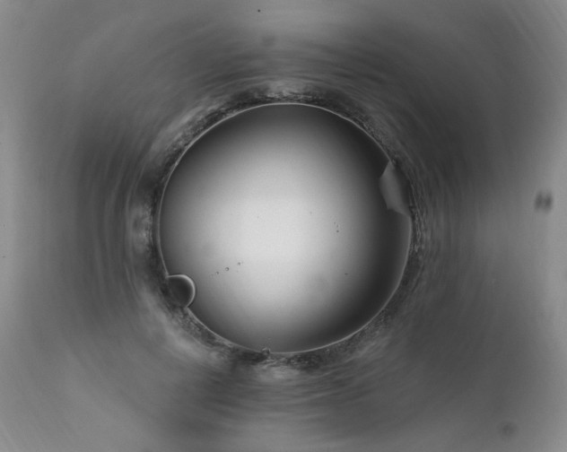X0000111510648200907141337