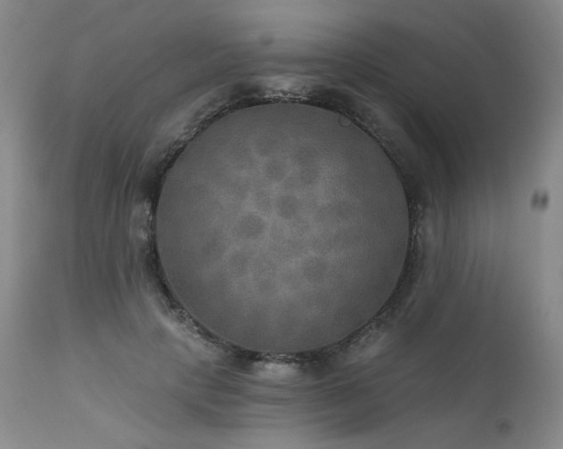 X0000111510649200907141337