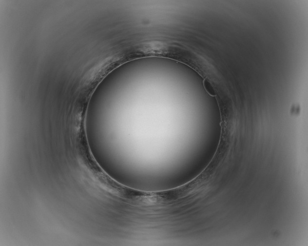 X0000111510652200907141337