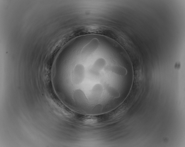 X0000111510653200907141337