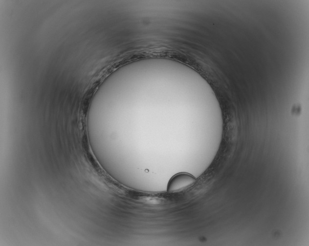 X0000111510654200907141337