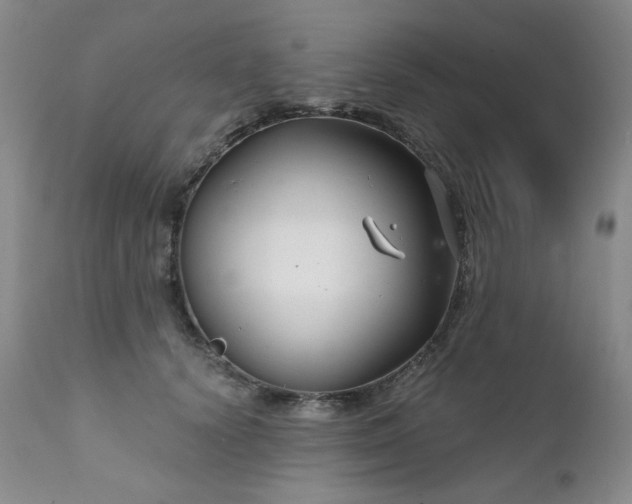 X0000111510656200907141337