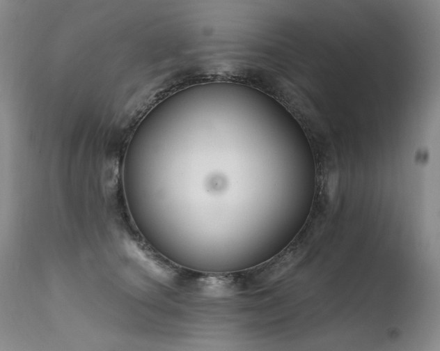 X0000111510660200907141337