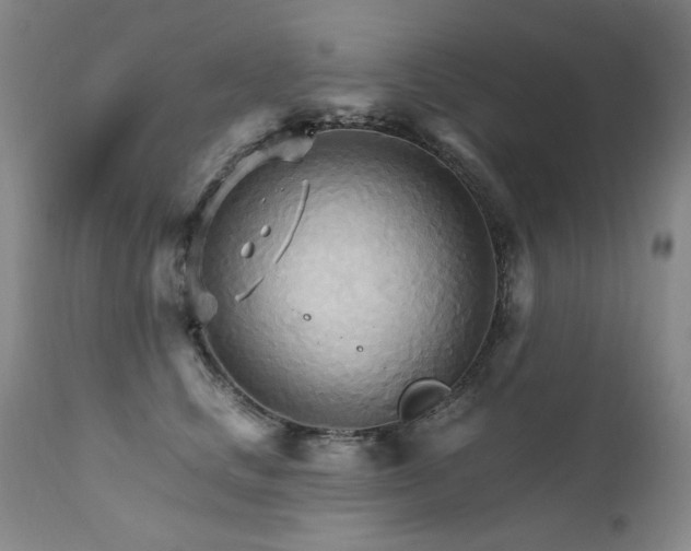 X0000111510661200907141337
