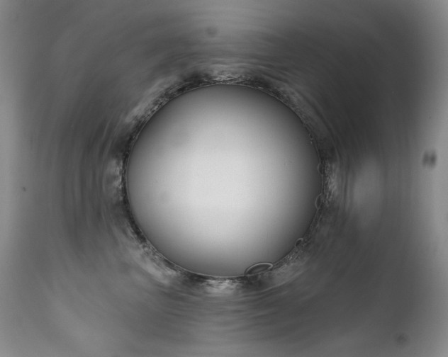 X0000111510667200907141337