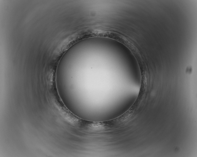 X0000111510668200907141338