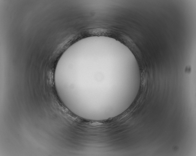 X0000111510669200907141338