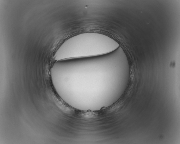 X0000111510670200907141338