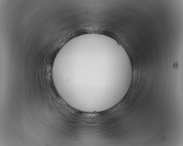 X0000111510671200907141338