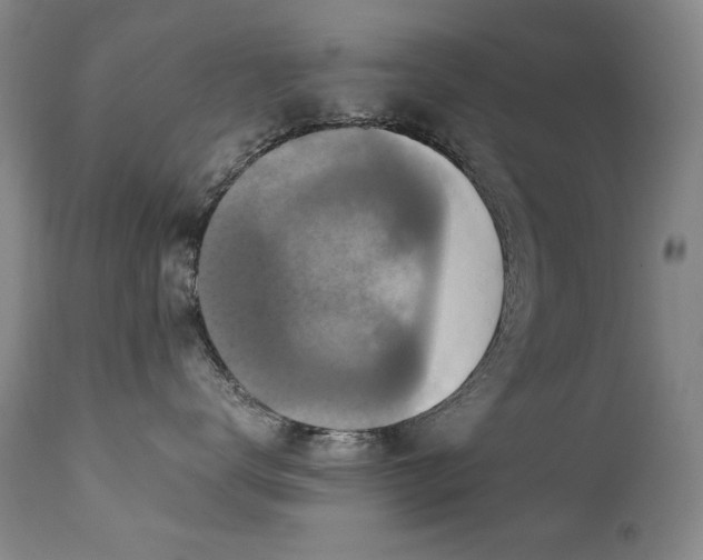 X0000111510672200907141338