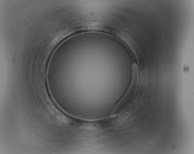 X0000111510673200907141337