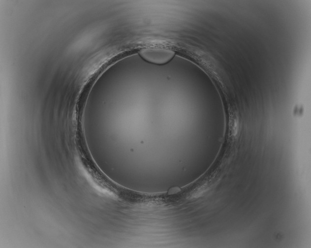 X0000111510674200907141337