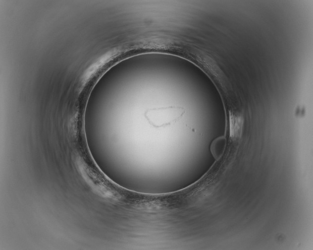 X0000111510675200907141337