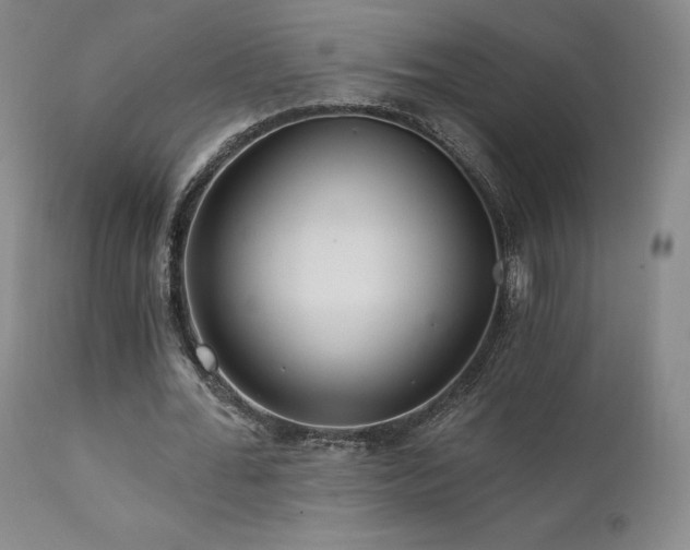 X0000111510676200907141337