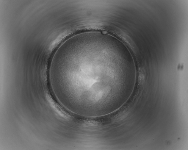 X0000111510677200907141337