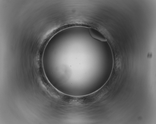 X0000111510680200907141337