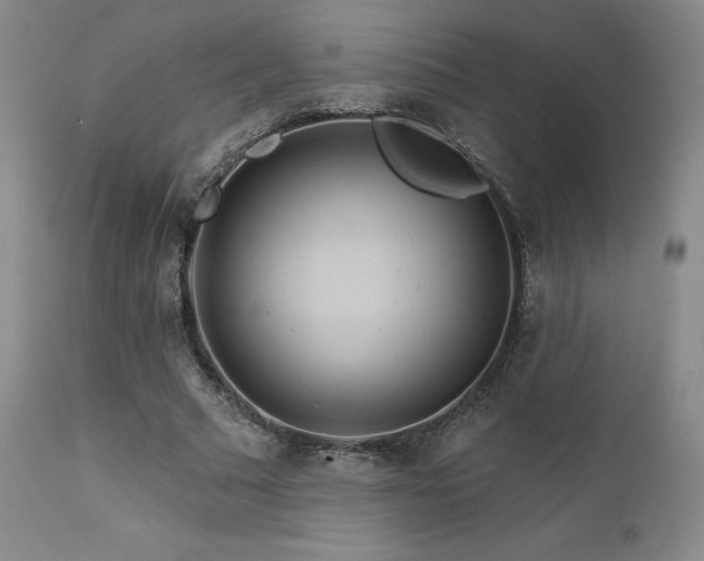 X0000111510681200907141337
