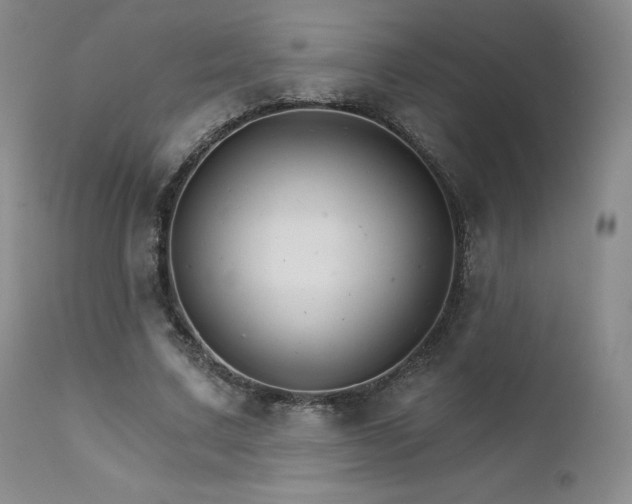X0000111510683200907141337