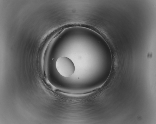 X0000111510684200907141337