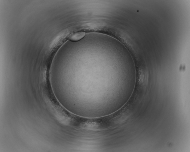 X0000111510685200907141337