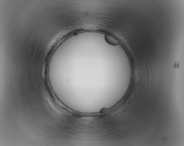 X0000111510686200907141337