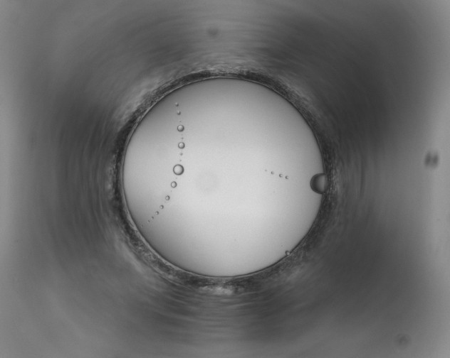 X0000111510687200907141337