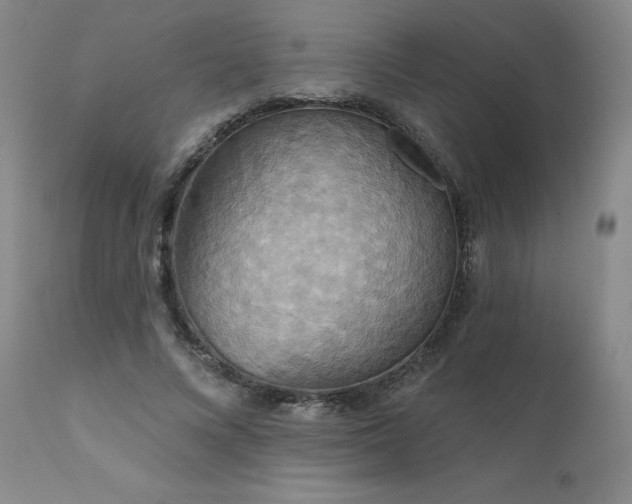 X0000111510688200907141337