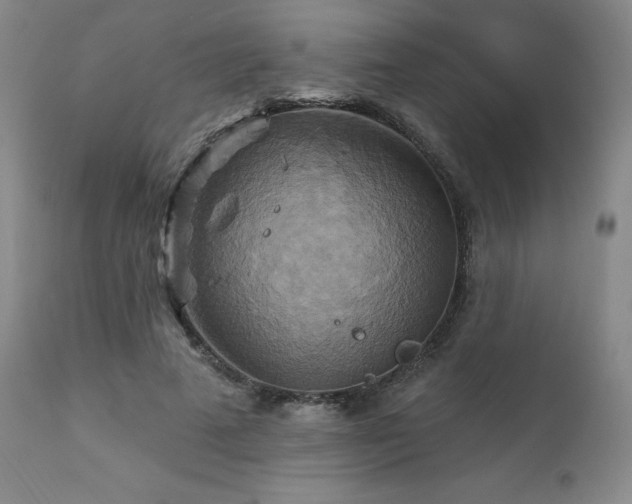 X0000111510689200907141337