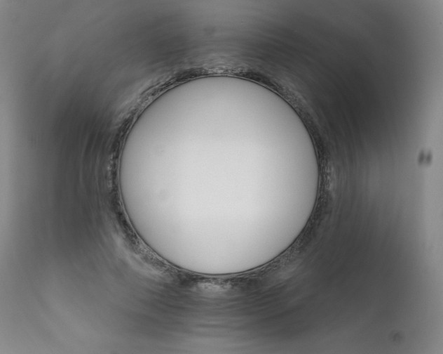 X0000111510690200907141337