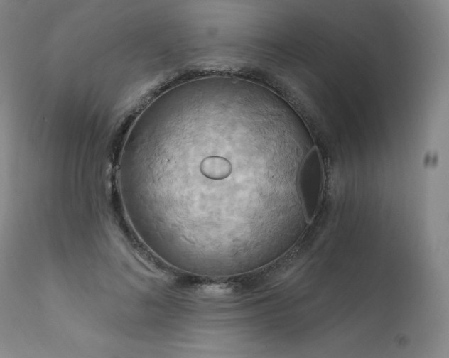 X0000111510692200907141336