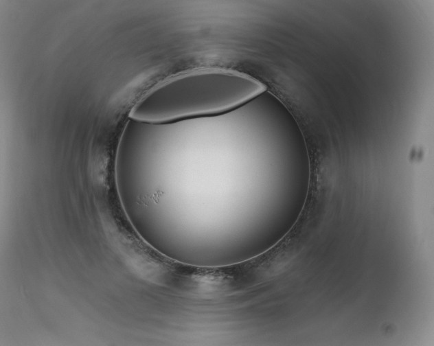X0000111510693200907141336