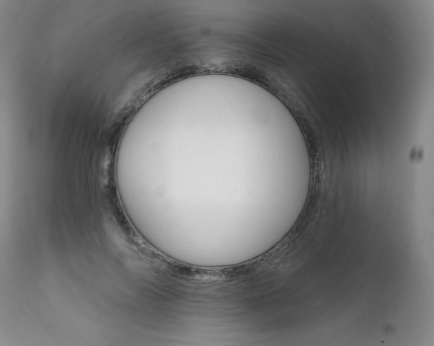 X0000111510694200907141336