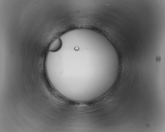 X0000111510695200907141336