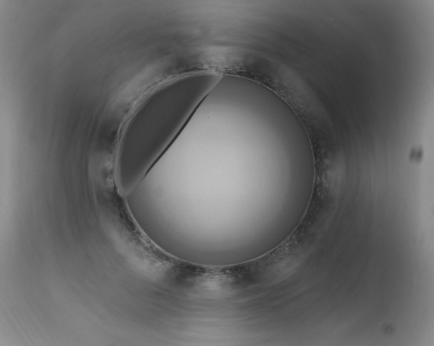 X0000111510696200907141336