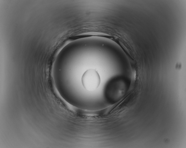 X0000111510697200907141336