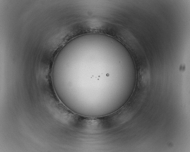 X0000111510698200907141336