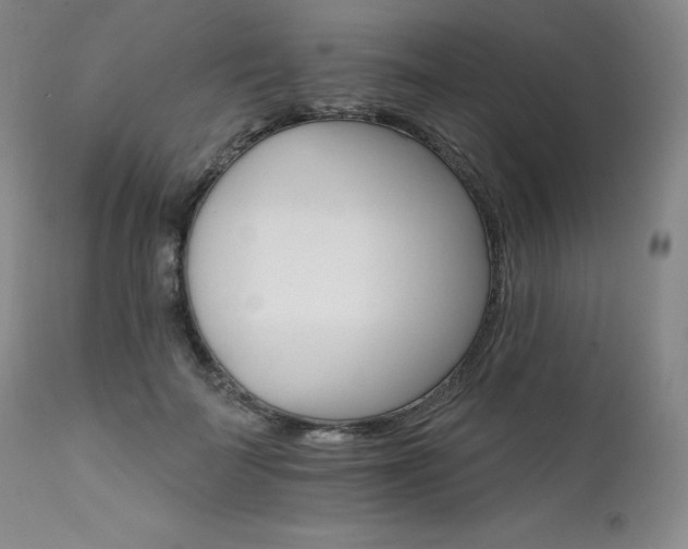 X0000111510699200907141336