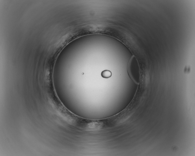 X0000111510700200907141336