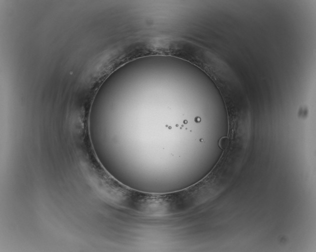 X0000111510702200907141336