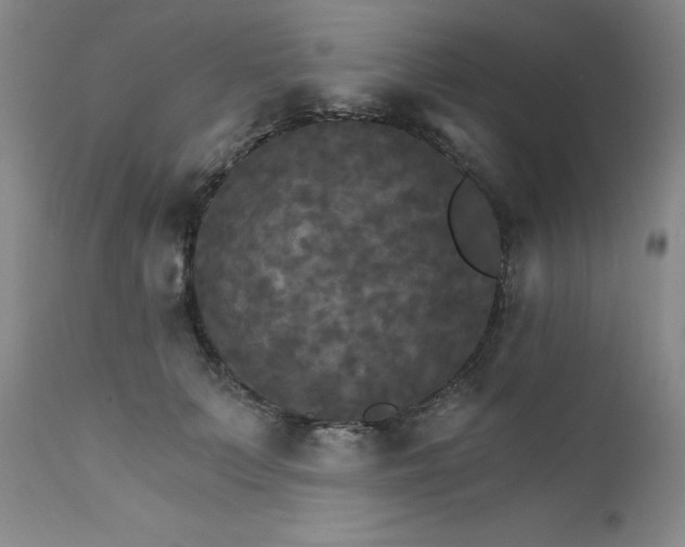 X0000111510703200907141336