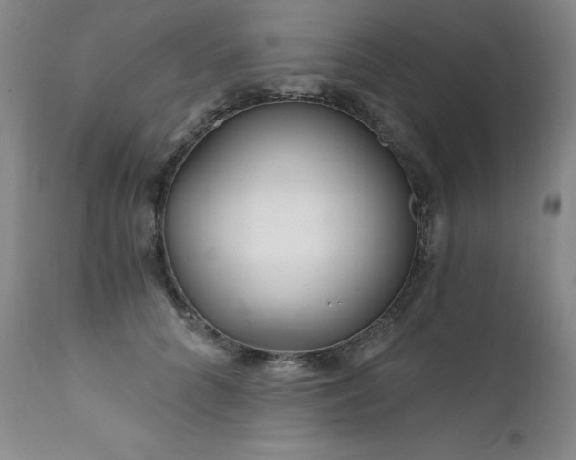 X0000111510704200907141336