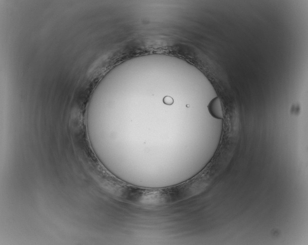 X0000111510705200907141336