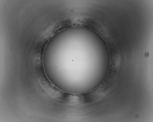 X0000111510706200907141336