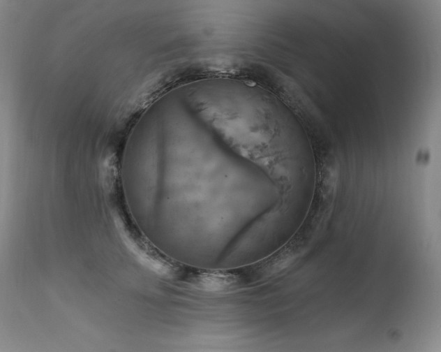 X0000111510707200907141336
